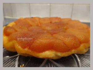 tatin2