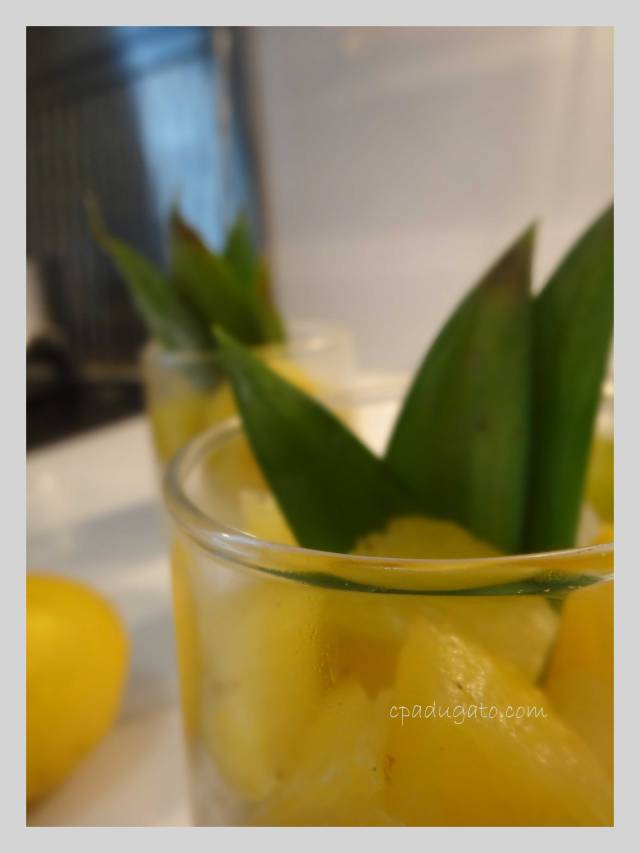 panna-cotta-coco-citron2