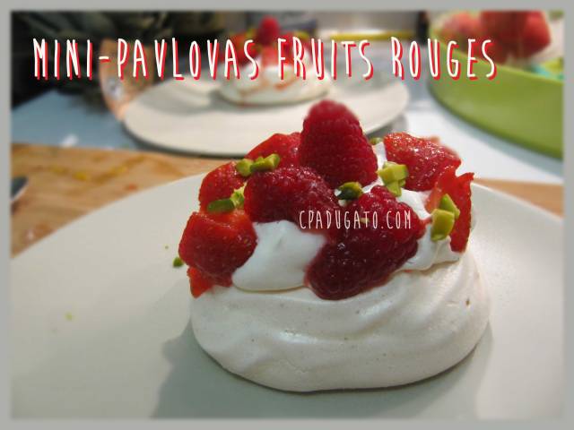 pavlova1
