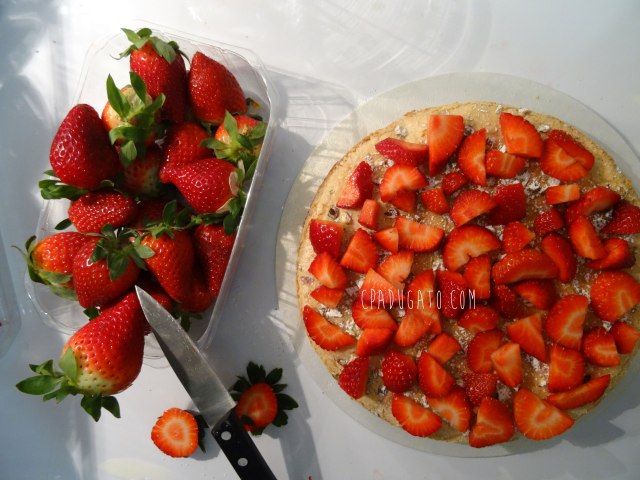 tartepistachefraisevanille