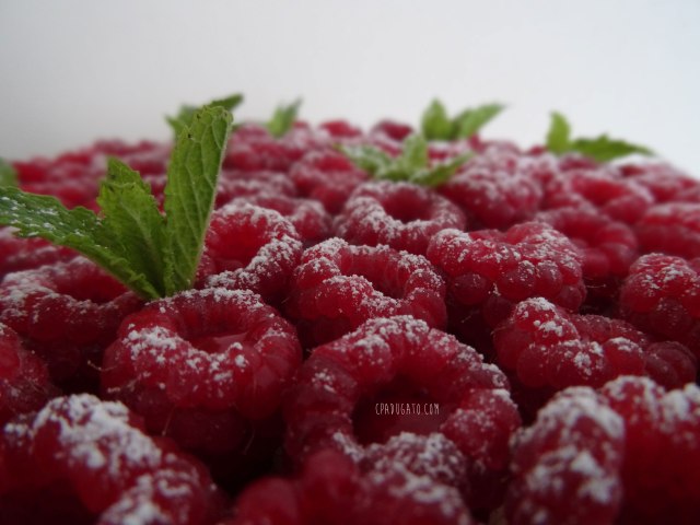 tarteframboises3
