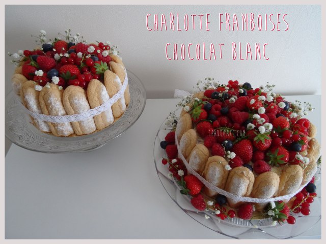 charlotte-framboises-chocolatblanc1