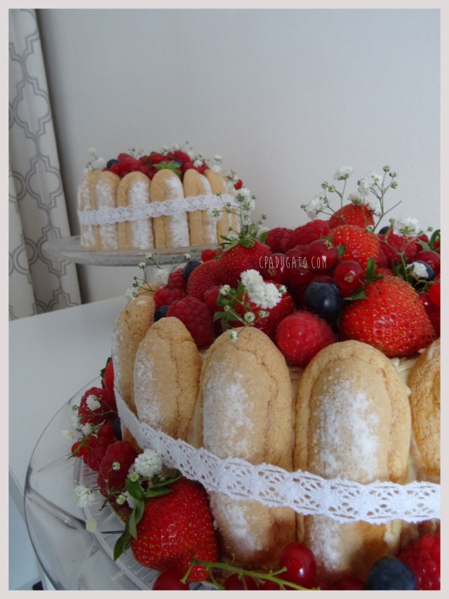 charlotte-framboises-chocolatblanc2